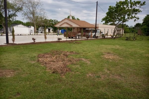 HJ-GRASS-AND-TREE-SERVICE-2-3-1024x768